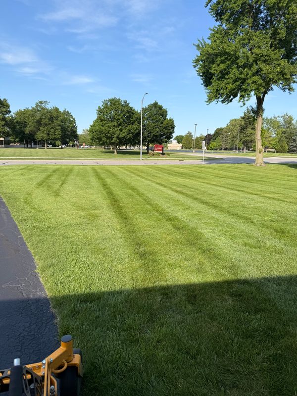 Lawn Care and Maintenance