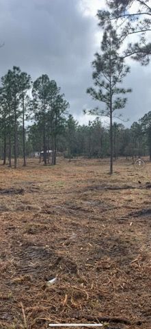 Forestry Mulching gallery