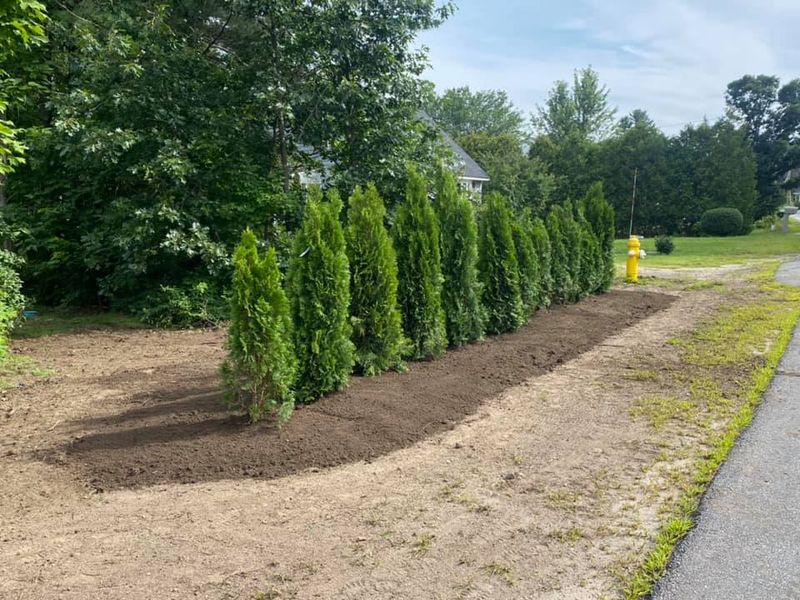 Pruning Services