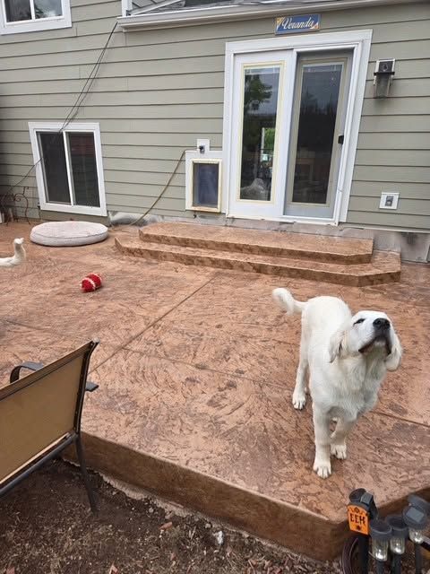 Decorative Concrete gallery
