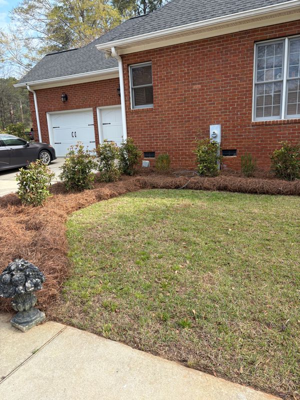 Landscape Design