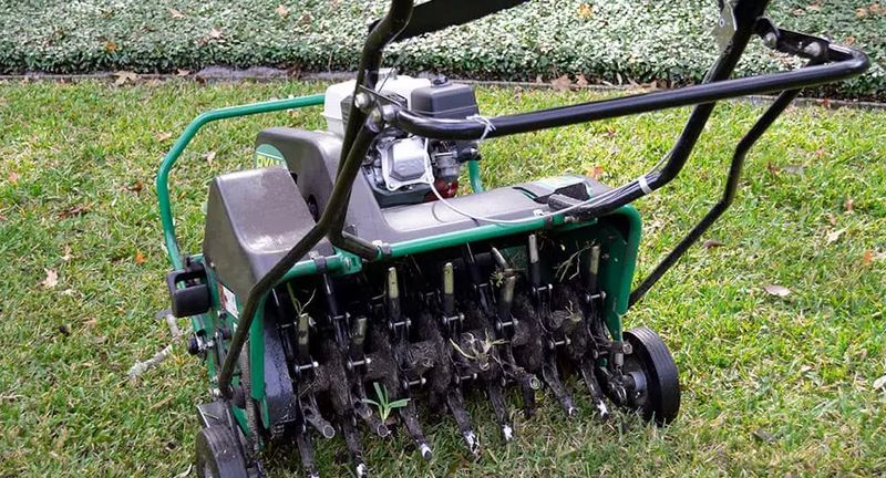 Lawn Aeration