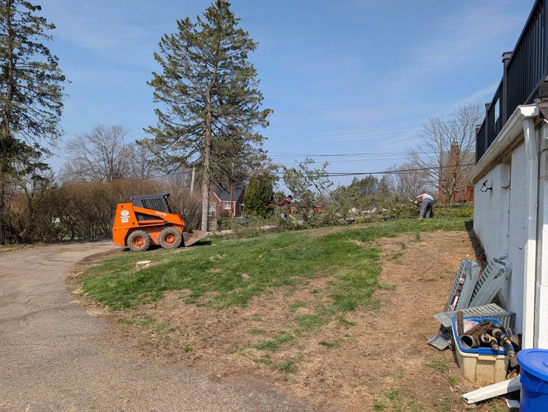 Landscaping & Hardscaping