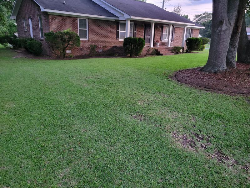 Weekly and Bi weekly Mowing