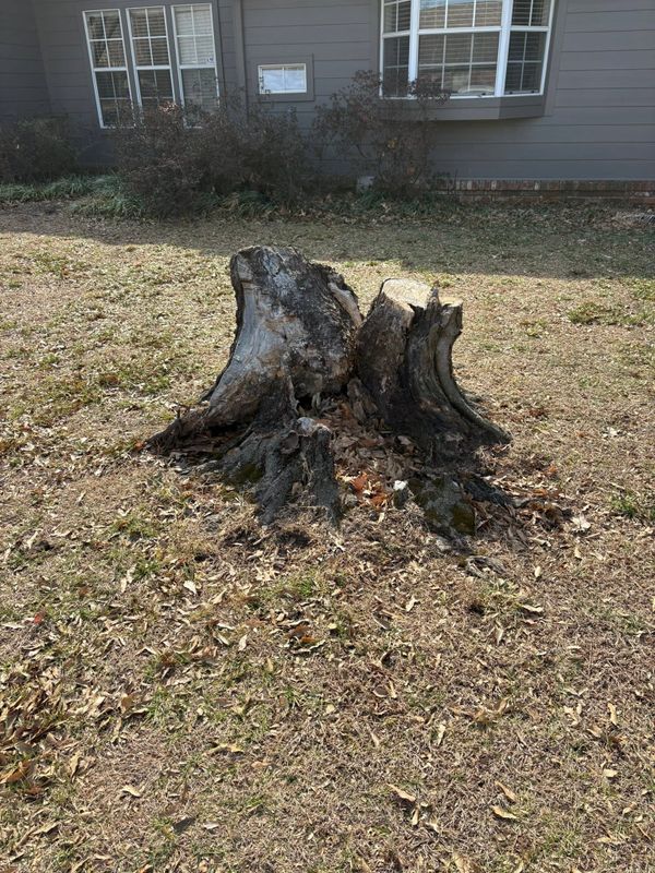 Stump Removal