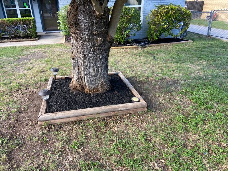 Mulch beds