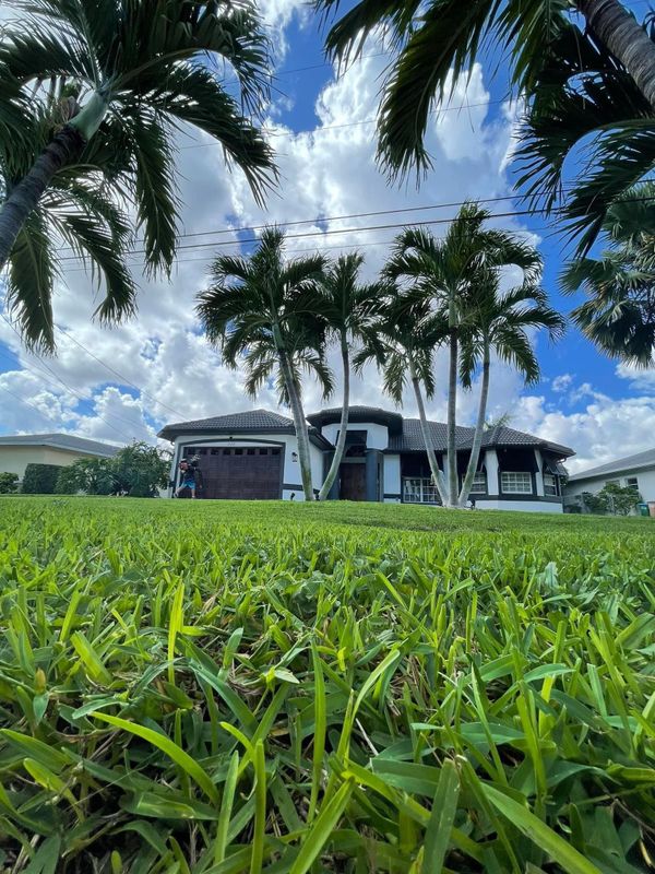 Lawn Maintenance 