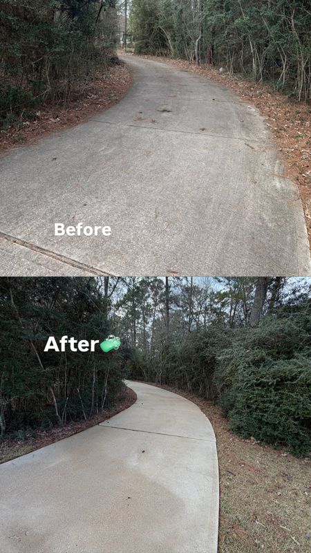 Driveway and Sidewalk Cleaning