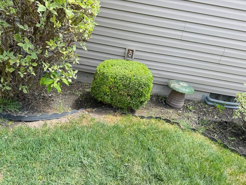 Tree & Shrub Care