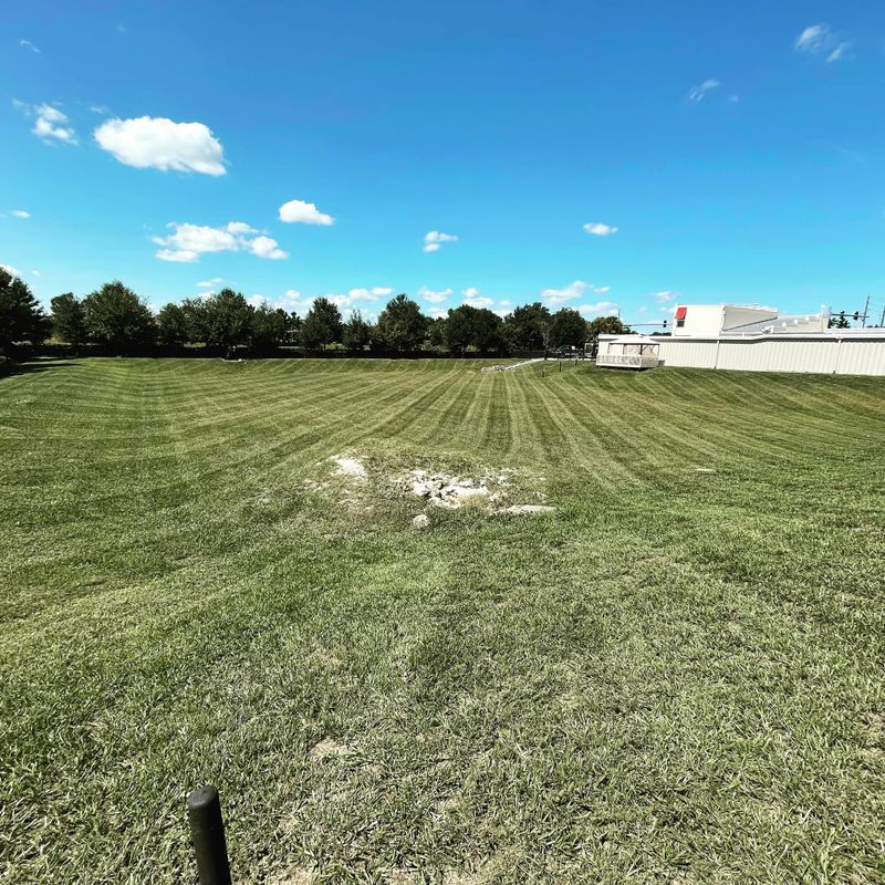Mowing