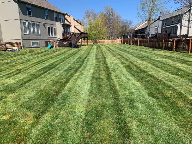 Lawn Care and Maintenance