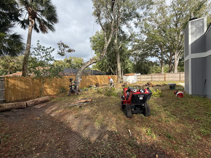 Land Clearing