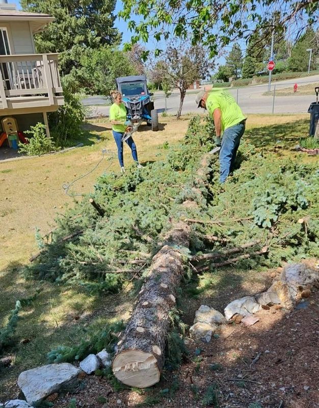 Tree Removal