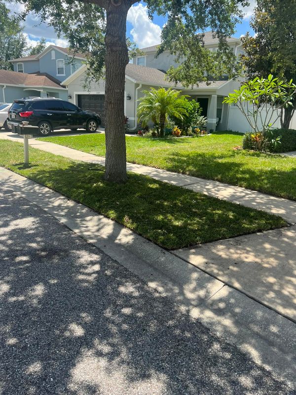 Landscaping