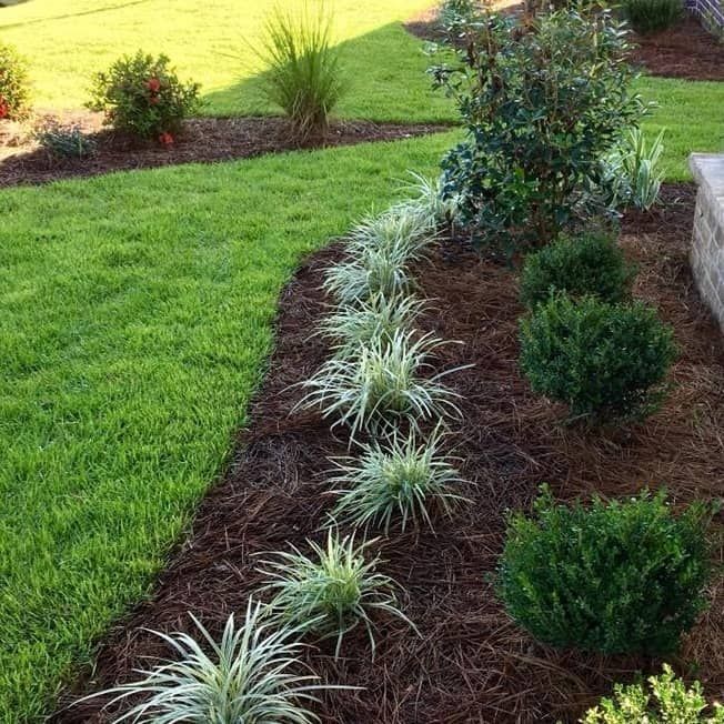 Landscape Design