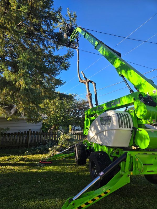 Tree Pruning & Trimming