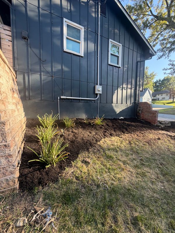 Transforming Overgrowth into Pristine Landscapes: Cutting Edge Lawn Solutions Delivers Exceptional Lawn Revival
