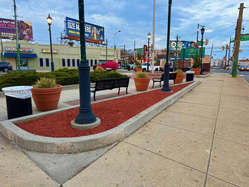 Landscape Design