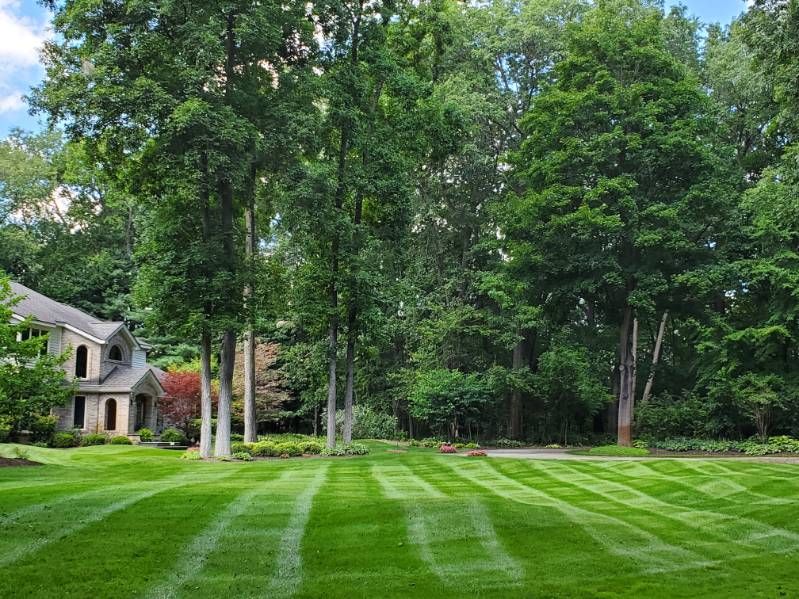 Lawn Mowing