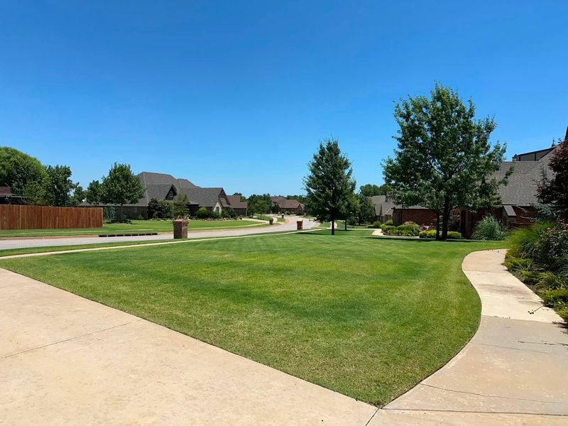 Lawn Maintenance