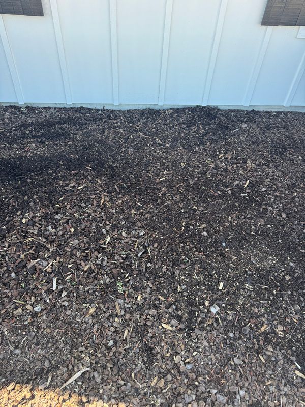 Spring Clean Up