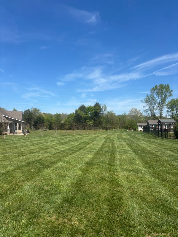 Lawn Maintenance