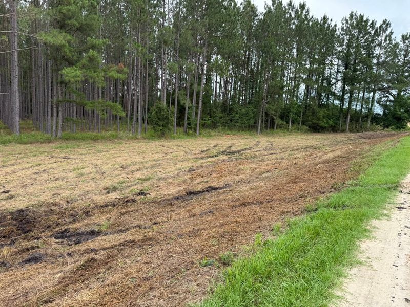 Land Clearing