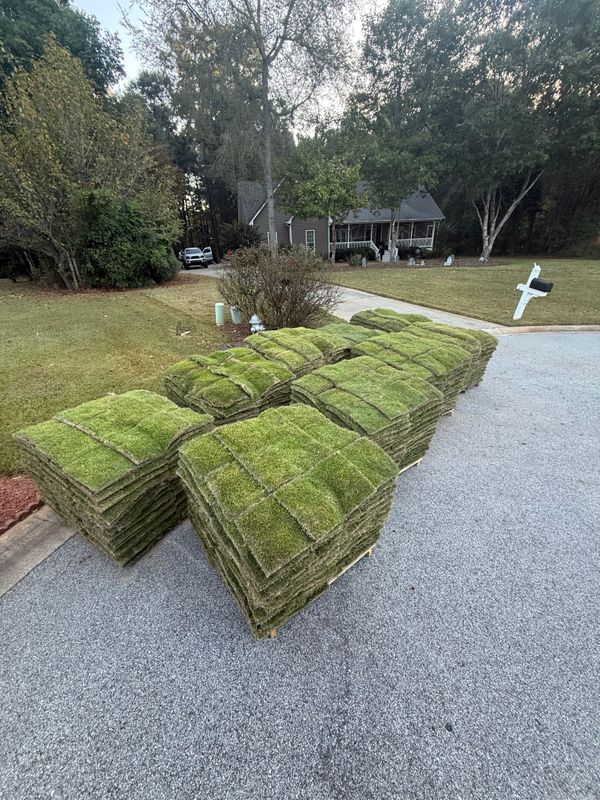 Landscape Design & Installation