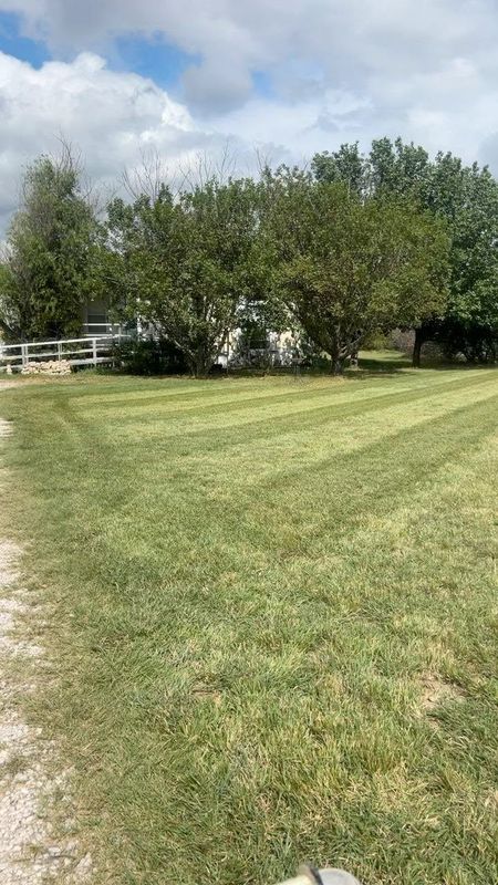 Lawn Maintenance
