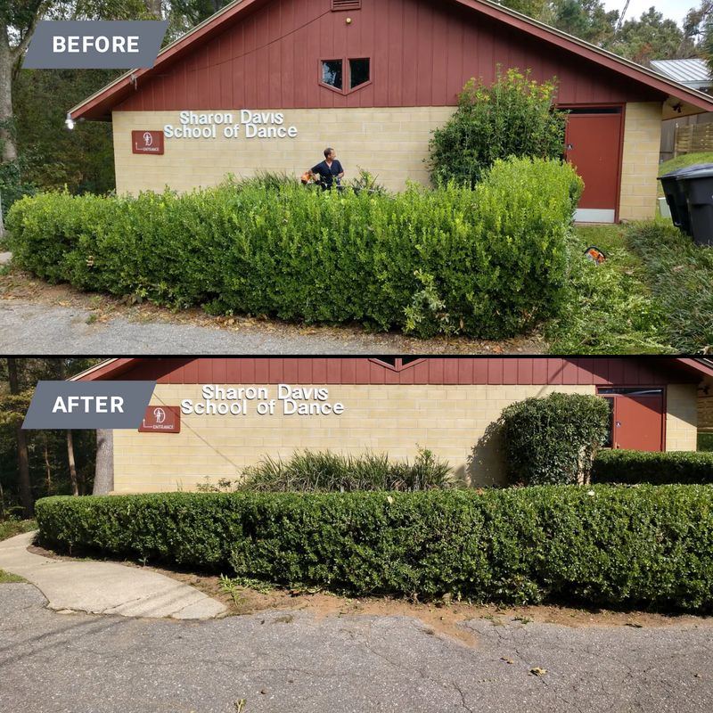 Shrub Trimming