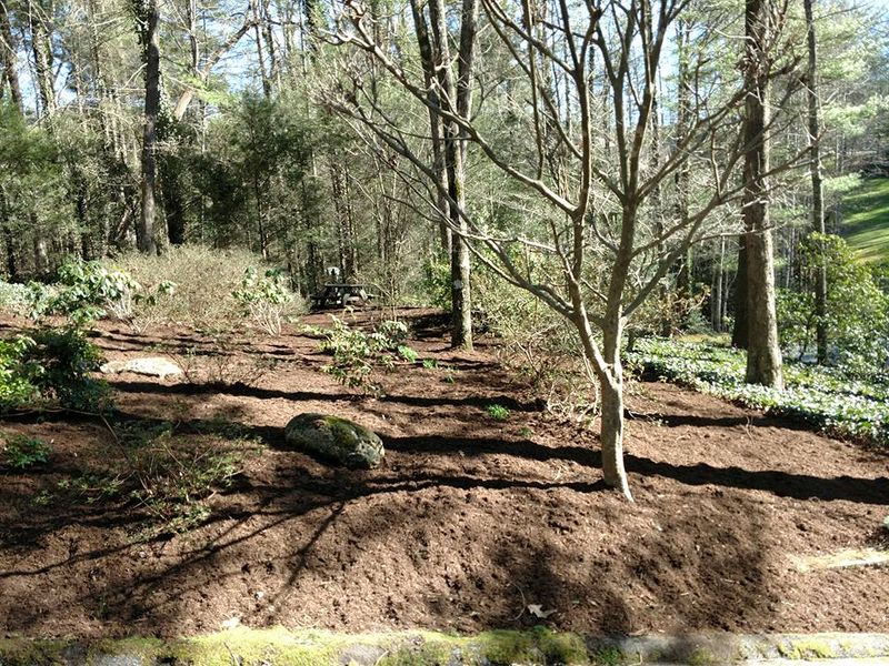 Fall and Spring Clean Up