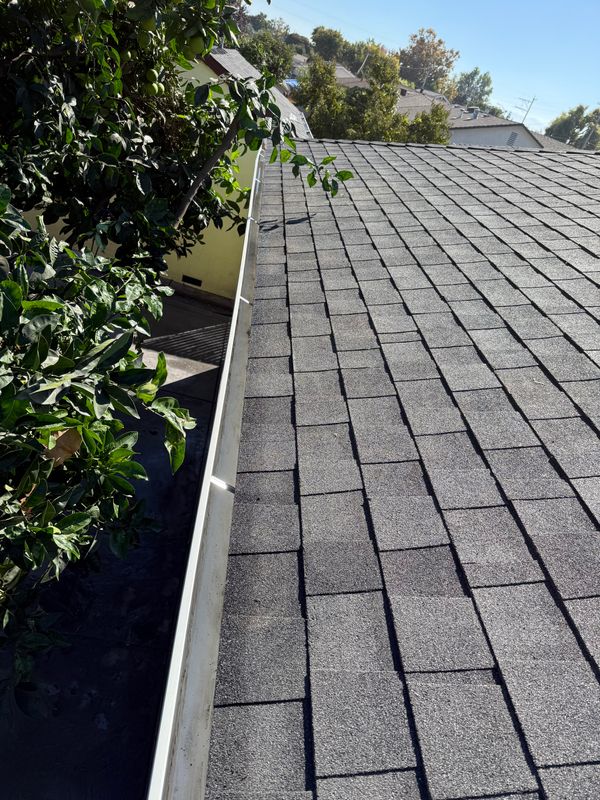 Gutter cleaning 
