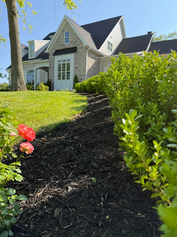 Landscape Design and Build