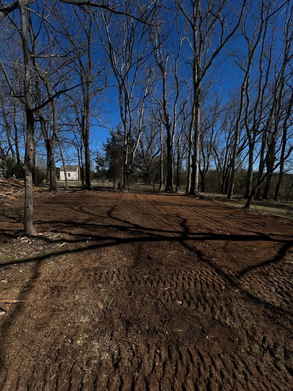 Land Clearing