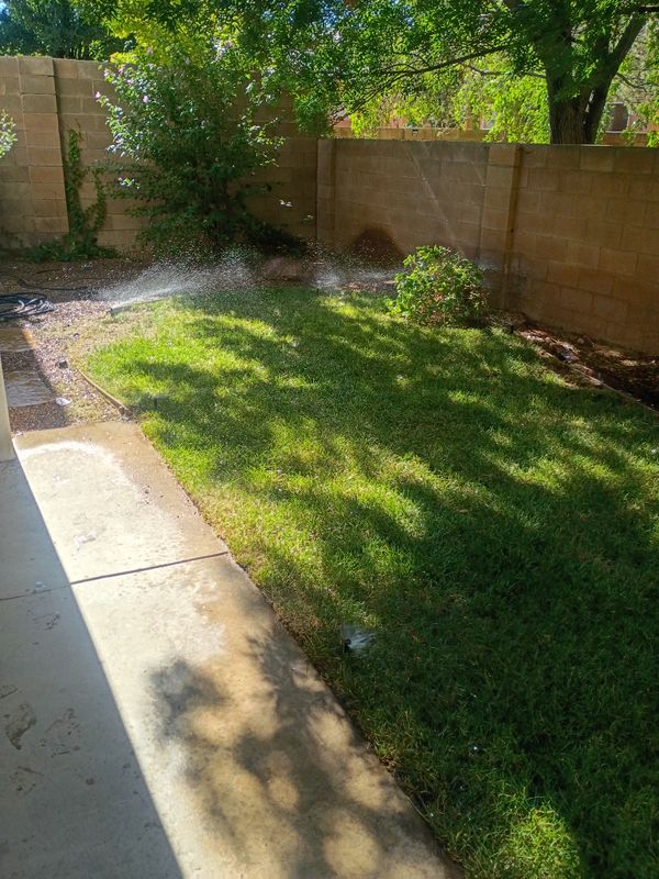 Residential Lawn Maintenance