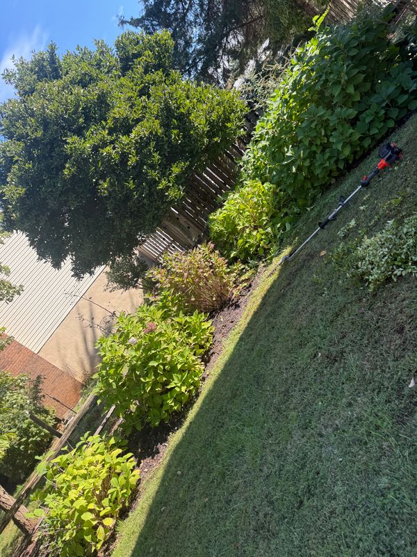 Shrub Trimming