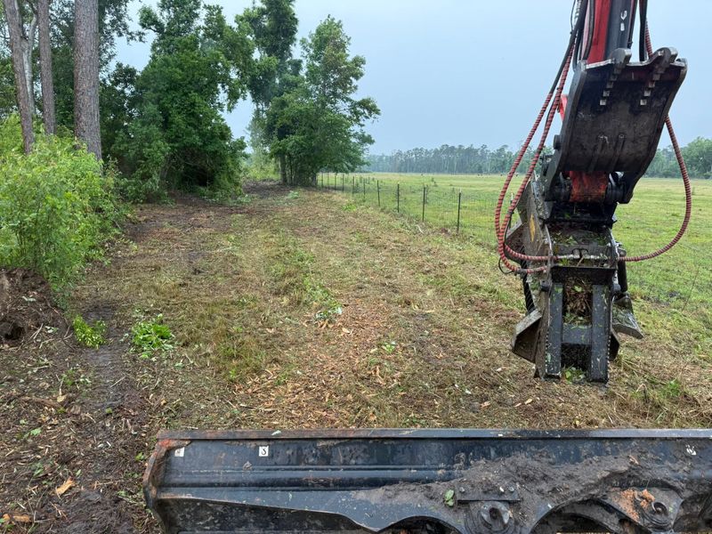 Land Clearing