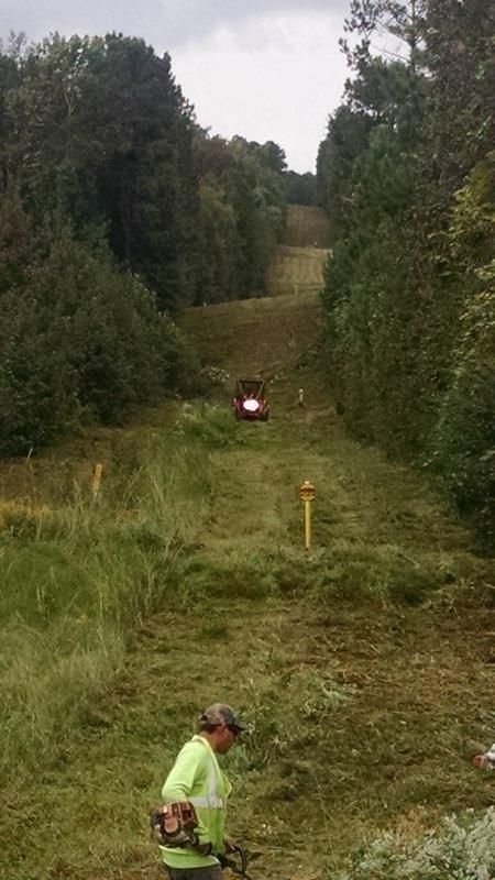 Heavy Forestry Mowing