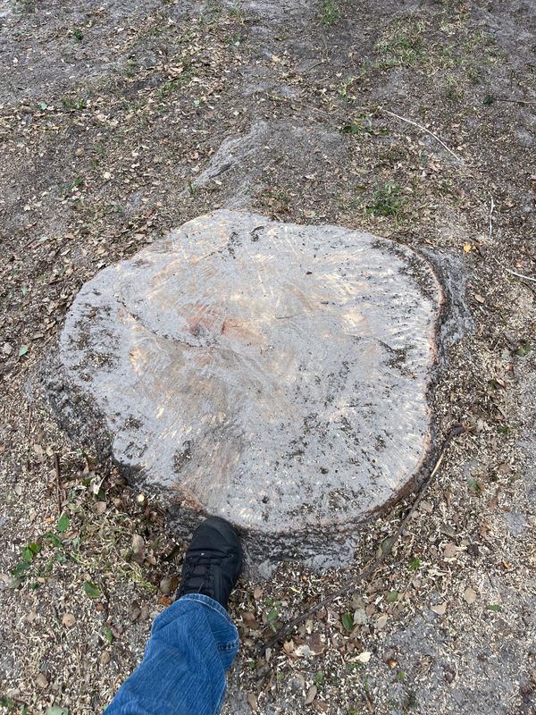 Stump Grinding