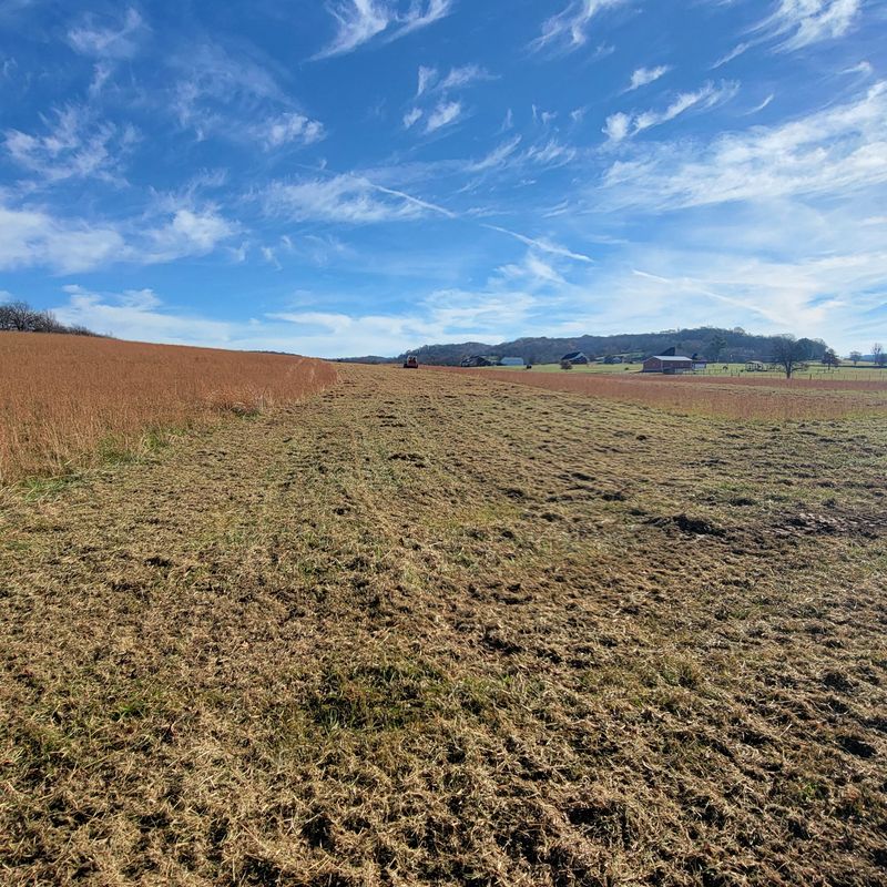 Land Clearing