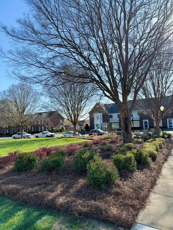 Landscaping