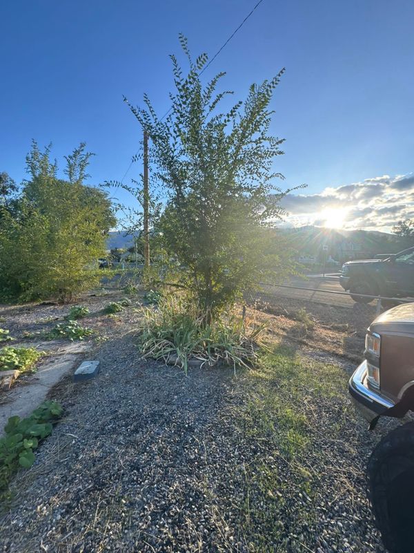 Gravel drive ways