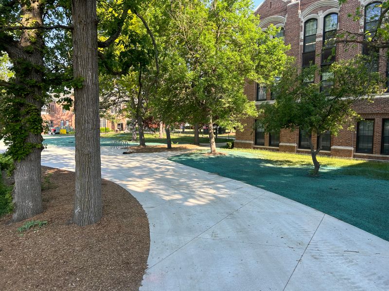Hydroseeding