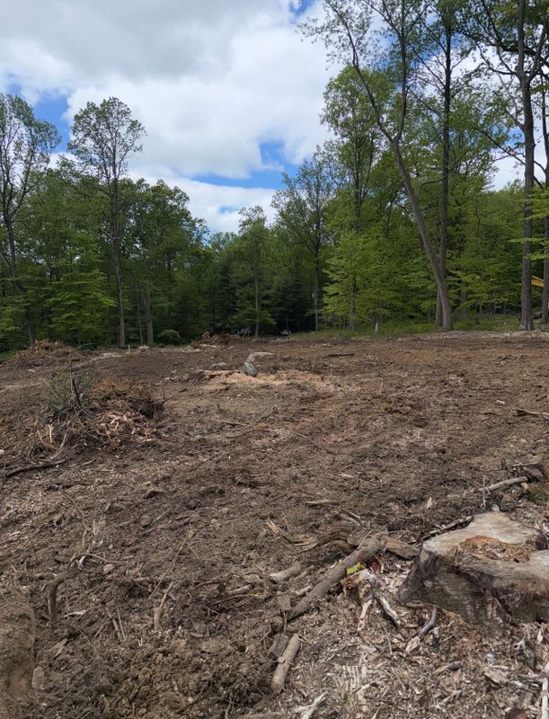 Residential Land Clearing