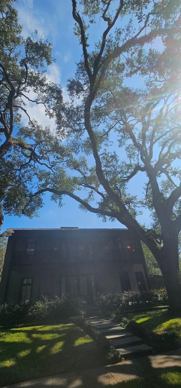 Tree Trimming