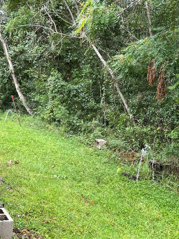 Irrigation