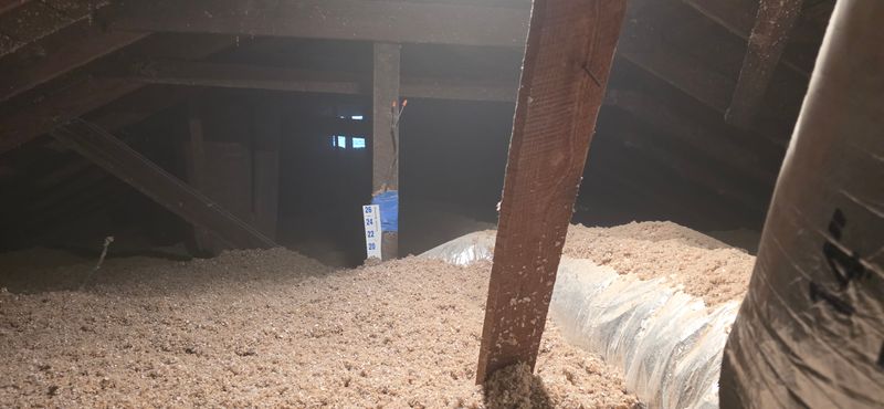 Eco-Friendly Insulation Options