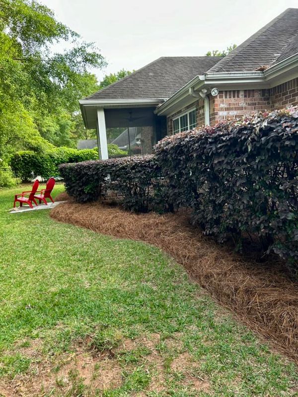 Landscape Bed Maintenance