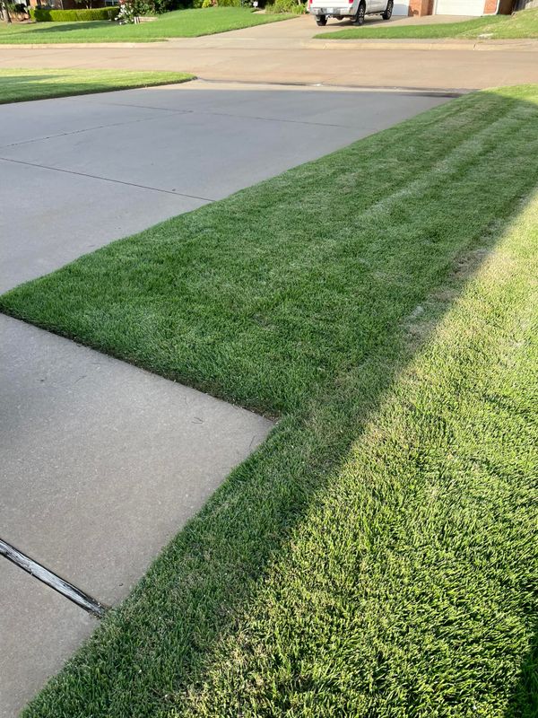 Lawn Care