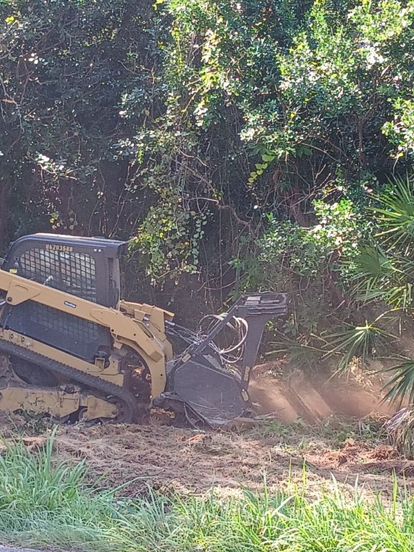 Land Clearing